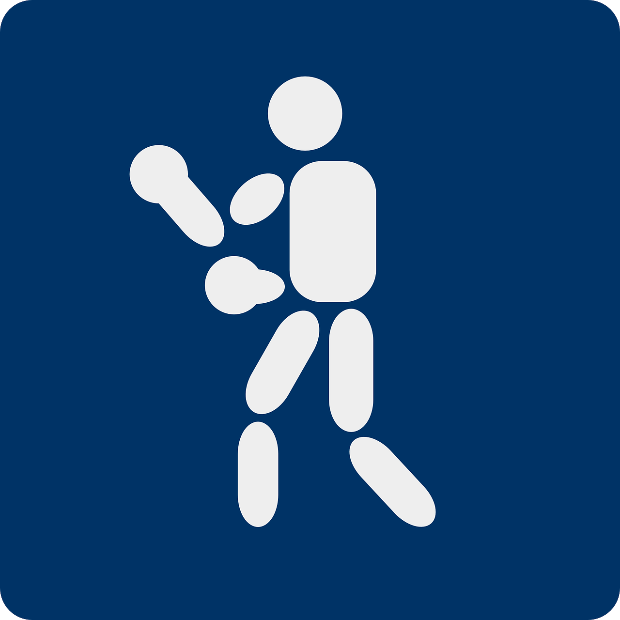 cropped-boxing-150489_1280-2.png
